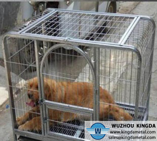 Commercial iron dog cage