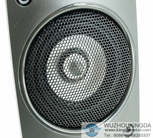 Speaker grille