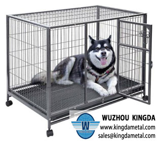 Large stainless dog cage